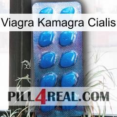 Viagra Kamagra Cialis viagra1